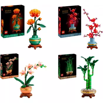 LEGO Botanicals De fyra årstiderna-paket