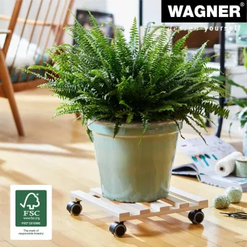 Wagner design yourself växtvagn GH 0438, kvadratisk, massiv bok, 34 x 34 x 8 cm, 4 länkhjul, 100 kg bärförmåga, natur, individuellt anpassningsbar 20043801