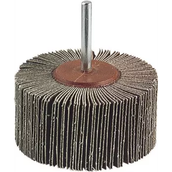 Wolfcraft 2037000 Fläkslipskiva, 20 mm diameter