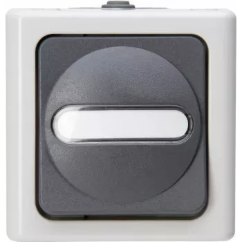HEINRICH KOPP universell brytare BLUE ELECTRIC grå utanpåliggande fuktutrymme 10A, 250V (560656006)