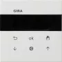 Gira System 3000 persienn- och kopplingsur displaymodul S3000 5366112
