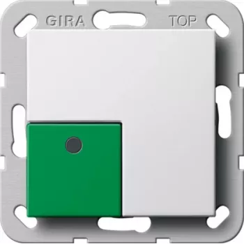 Gira System 55 Off/Stop-vippa, renvit 291103