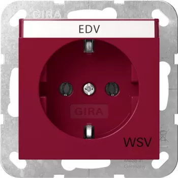 Gira 4457108 SCHUKO-uttag med klafflock System 55 renvit glansig