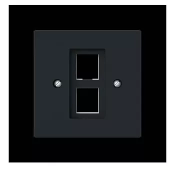 Busch-Jaeger centralplatta med bärring Modular Jack 2561-02-45M 2CKA001753A9929