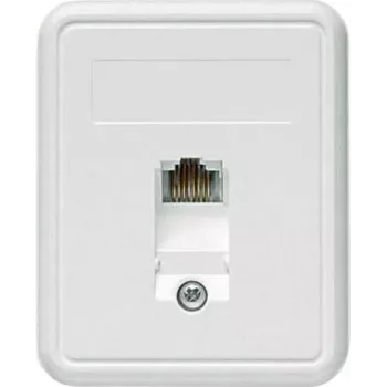 TELEGÄRTNER ytmonterad RJ45-dosa 1xRJ45 oskärmad, Cat. 5e (A0174)