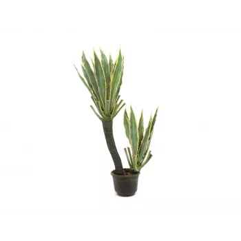EUROPALMS orkidékaktus konstgjord växt, 160cm 82809035