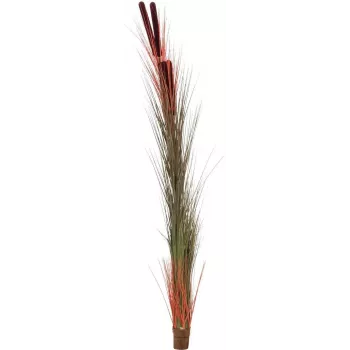 EUROPALMS konstgjort vassgräs med kolvar, ljusbrun, 152cm 82505856