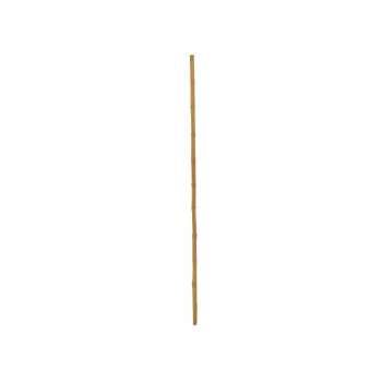 EUROPALMS bambustång, Ø 3 cm, längd 200 cm 83313200