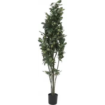 EUROPALMS Schefflera konstväxt, 120 cm, grön 82600157