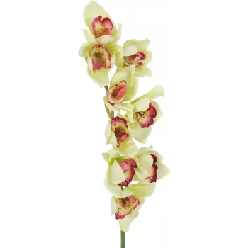 EUROPALMS konstgjord Cymbidium-orkidékvist, grön, 90 cm 82530313