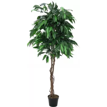 EUROPALMS konstgjort mango-djungelträd, 180 cm 82506726