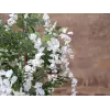 EUROPALMS konstgjort gullregnträd, vita blommor, 180 cm 82507106