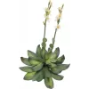 EUROPALMS Stone Rose (EVA) konstgjord växt, gul, 32 cm 82530573