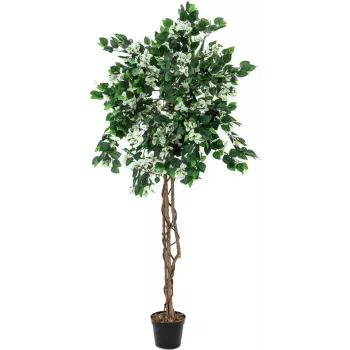 EUROPALMS Bougainvillea konstgjord växt, vit, 180 cm 82507086