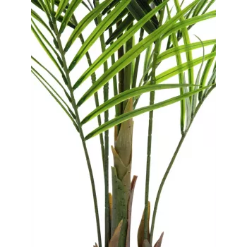 EUROPALMS storbladig Areca-konstgjord växt, 165 cm 82509441