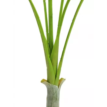 EUROPALMS Areca deluxe konstgjord växt, 180 cm 82509443