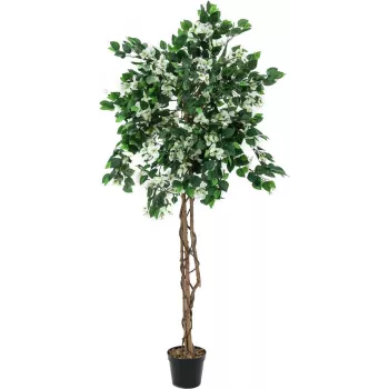 EUROPALMS Bougainvillea konstgjord växt, vit, 150 cm 82507085