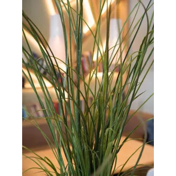 EUROPALMS Konstgjort bladvass, 145 cm, grön/brun, förplanterad 82600229