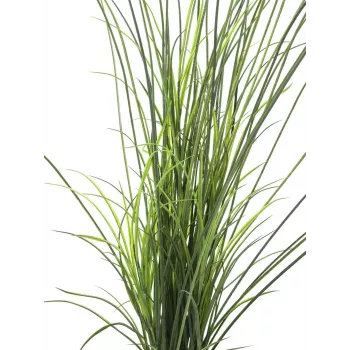 EUROPALMS Konstgjort bladvass, 145 cm, grön/brun, förplanterad 82600229