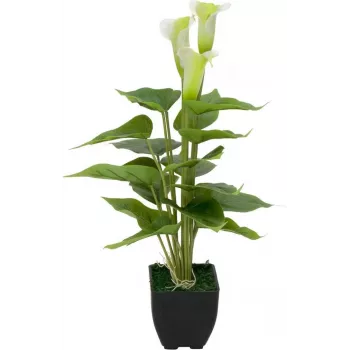 EUROPALMS Calla mini konstgjord callaliljeväxt, vit, 43 cm 82540347
