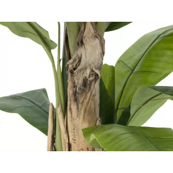 EUROPALMS konstgjord bananträd, 170 cm, gröna blad, svart kruka 82509539