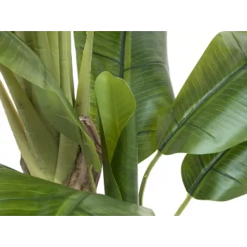 EUROPALMS konstgjord bananträd, 170 cm, gröna blad, svart kruka 82509539