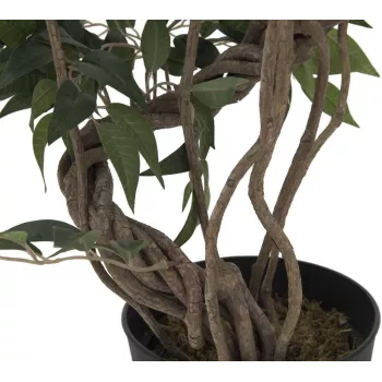EUROPALMS Ficus Multi Spiral Trunk konstgjord växt, 130 cm 82806314