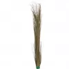 EUROPALMS konstgjort vassgräs, kaki, 127 cm 82505853