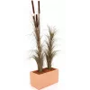 EUROPALMS konstgjort vassgräs med kolvar, mörkbrun, 152 cm 82505857