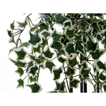 EUROPALMS Holland Ivy Hedge Screen Classic, konstgjord, 60cm 82502210