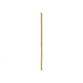 EUROPALMS bambustång, Ø 5 cm, 200 cm 83313201