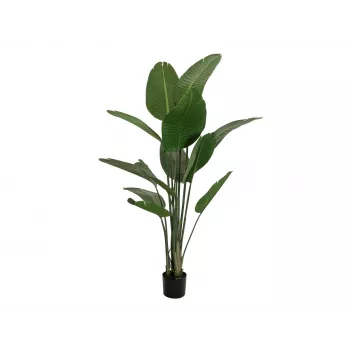 EUROPALMS konstgjord strelitzia, 170 cm 82540523