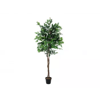 EUROPALMS Ficus Benjamina flerstammig konstgjord växt, 210 cm 82506127