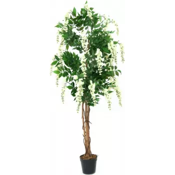 EUROPALMS gullregn konstgjord växt, vit, 150 cm (82507105)