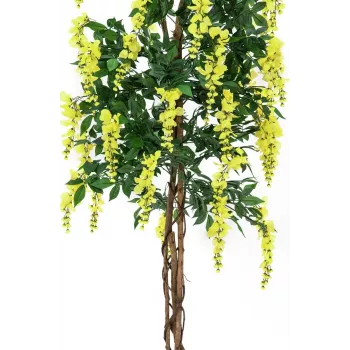 EUROPALMS gullregn konstgjord växt, gul, 150 cm 82507115