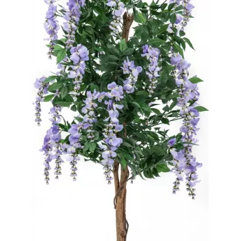 EUROPALMS konstgjort gullregnträd, violetta blommor, 180 cm 82507136