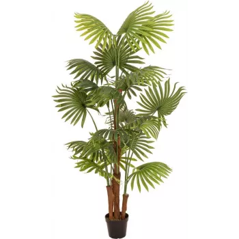 EUROPALMS konstgjord solfjäderspalm, 165 cm 82509305