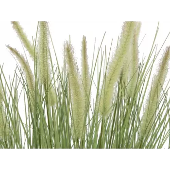 EUROPALMS blommande konstgjort prydnadsgräs, 70 cm, vita blommor, svart kruka 82600147