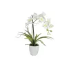 EUROPALMS konstgjort orkidéarrangemang 1, i kruka, vit-rosa, 60 cm 82530346