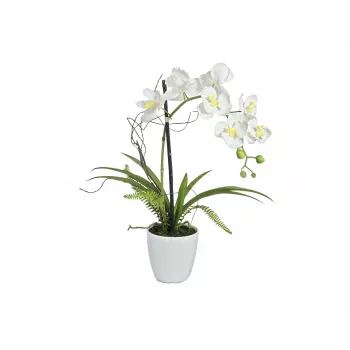 EUROPALMS konstgjort orkidéarrangemang 1, i kruka, vit-rosa, 60 cm 82530346