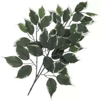 EUROPALMS konstgjord fikusgren, 12-pack 82506100
