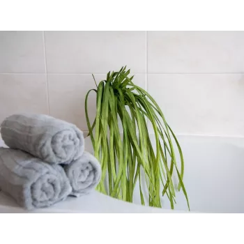 EUROPALMS konstgjort sjögräs (EVA), grönt 82531062