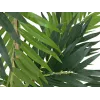 EUROPALMS konstgjord palm 150cm 82509495