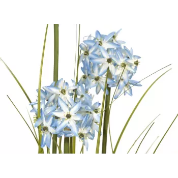 EUROPALMS konstgjord Allium-gräs, blå, 120 cm 82600168