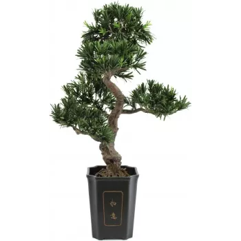 EUROPALMS Bonsai Podocarpus konstgjord växt, 80 cm 82600116