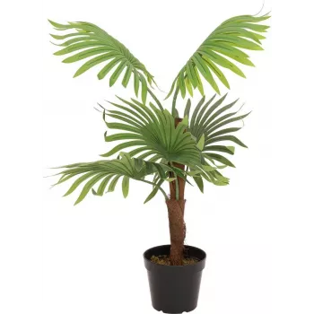 EUROPALMS fjäderpalm konstgjord växt, 88 cm, grön, svart kruka 82509301