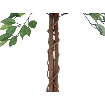 EUROPALMS Ficus Benjamina flerstammig konstgjord växt, 150 cm 82506125