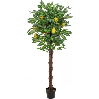EUROPALMS konstgjort citronträd, 150 cm 82507815