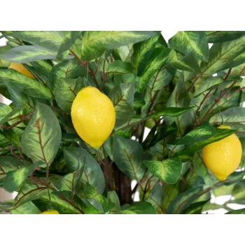EUROPALMS konstgjort citronträd, 150 cm 82507815