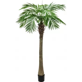 EUROPALMS Phoenix Palm Luxor konstgjord växt, 300 cm 82510723